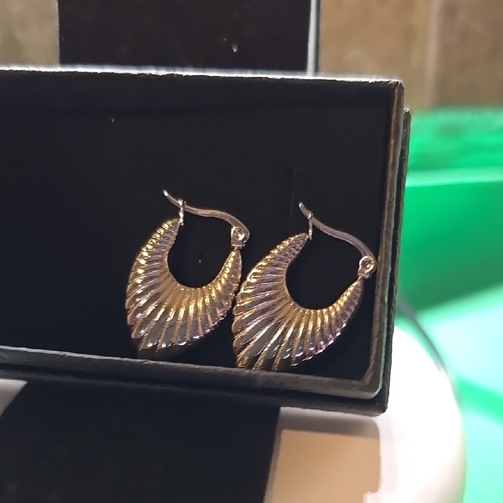 Elegant Stainless Steel Silver Hoop Earrings NWOT
